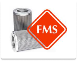 fms.png